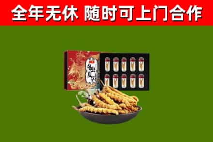 中山回收冬虫夏草价格